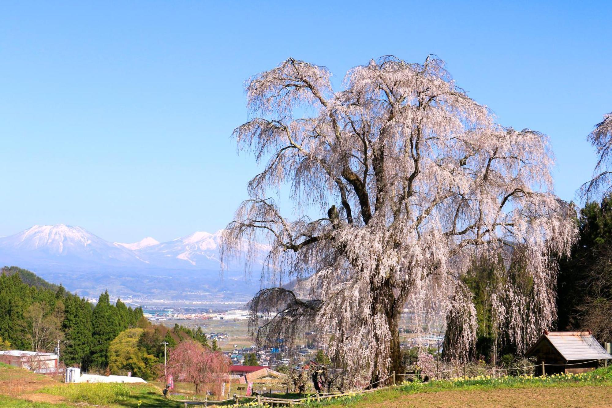 Hotel Fujiiso (Adults Only) Takayama  Zewnętrze zdjęcie