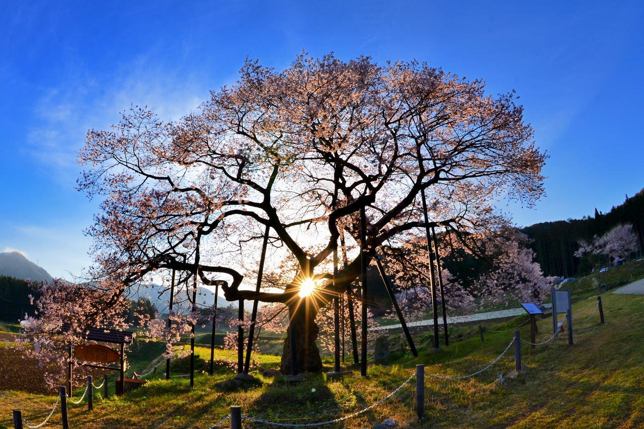 Hotel Fujiiso (Adults Only) Takayama  Zewnętrze zdjęcie
